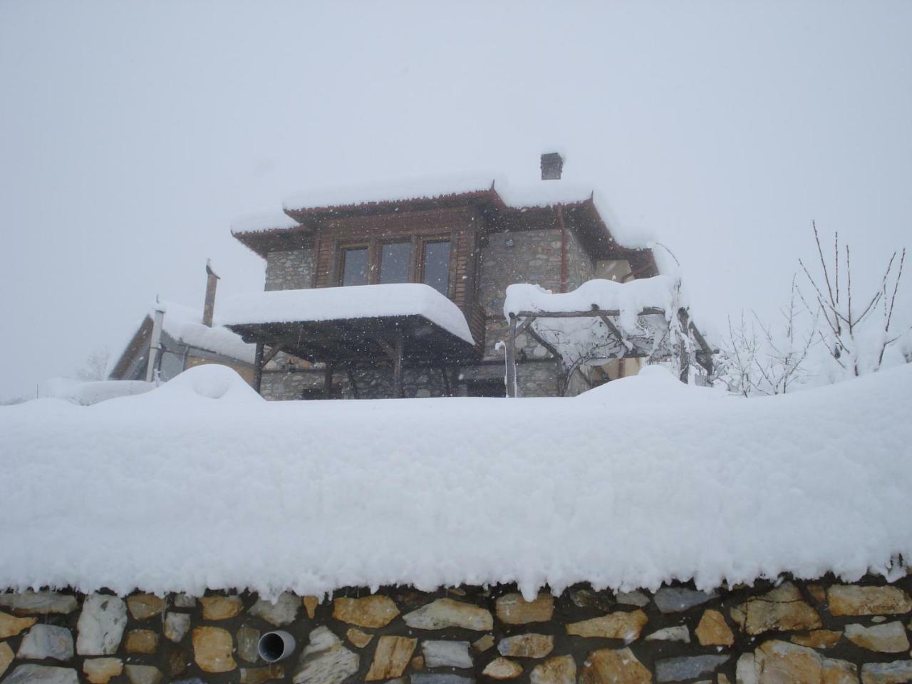 Kleio Villa Elatochori Exterior photo