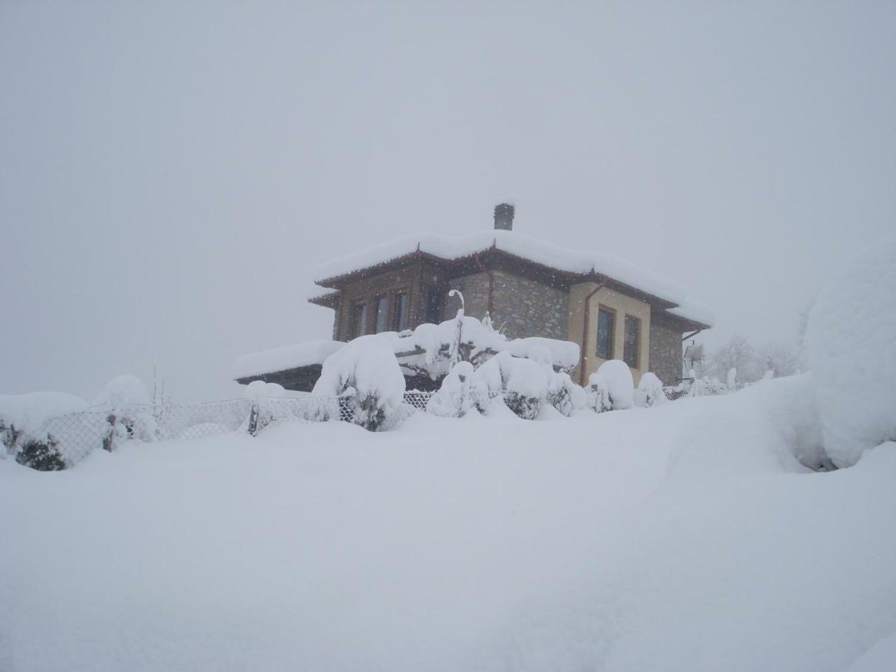 Kleio Villa Elatochori Exterior photo